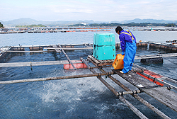 Cage farming at the core of fish farming technology
