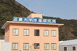 Oshima Station, Aquaculture Research Institute